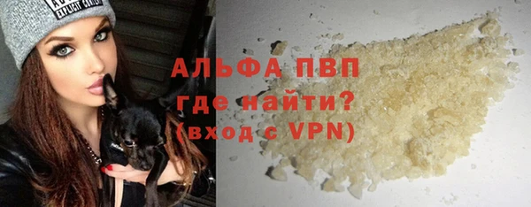 СК Сафоново
