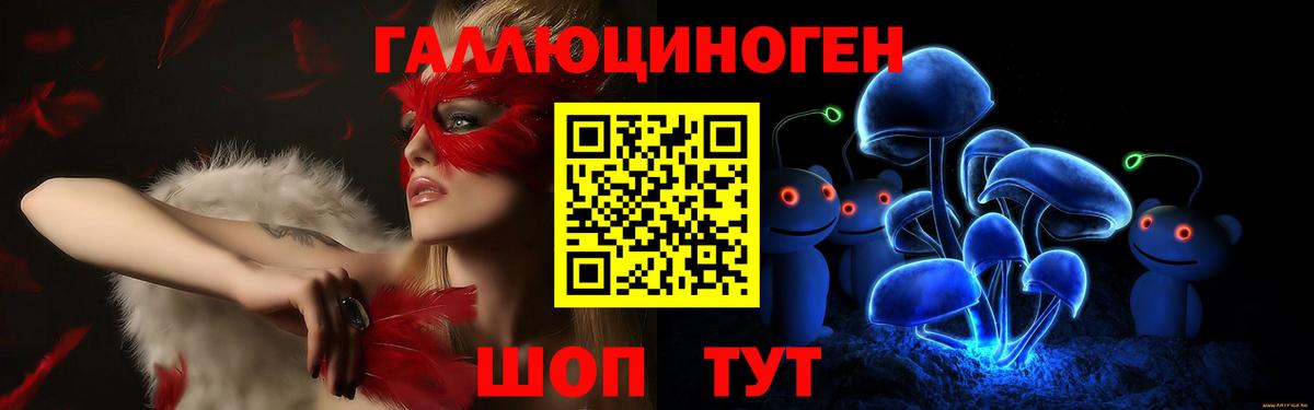 где продают наркотики  Галлюциногенные грибы Psilocybine cubensis  Вход с VPN  Заринск 